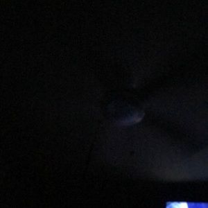 Meet your Posher, Bianca